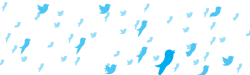 twitter vidéos formats