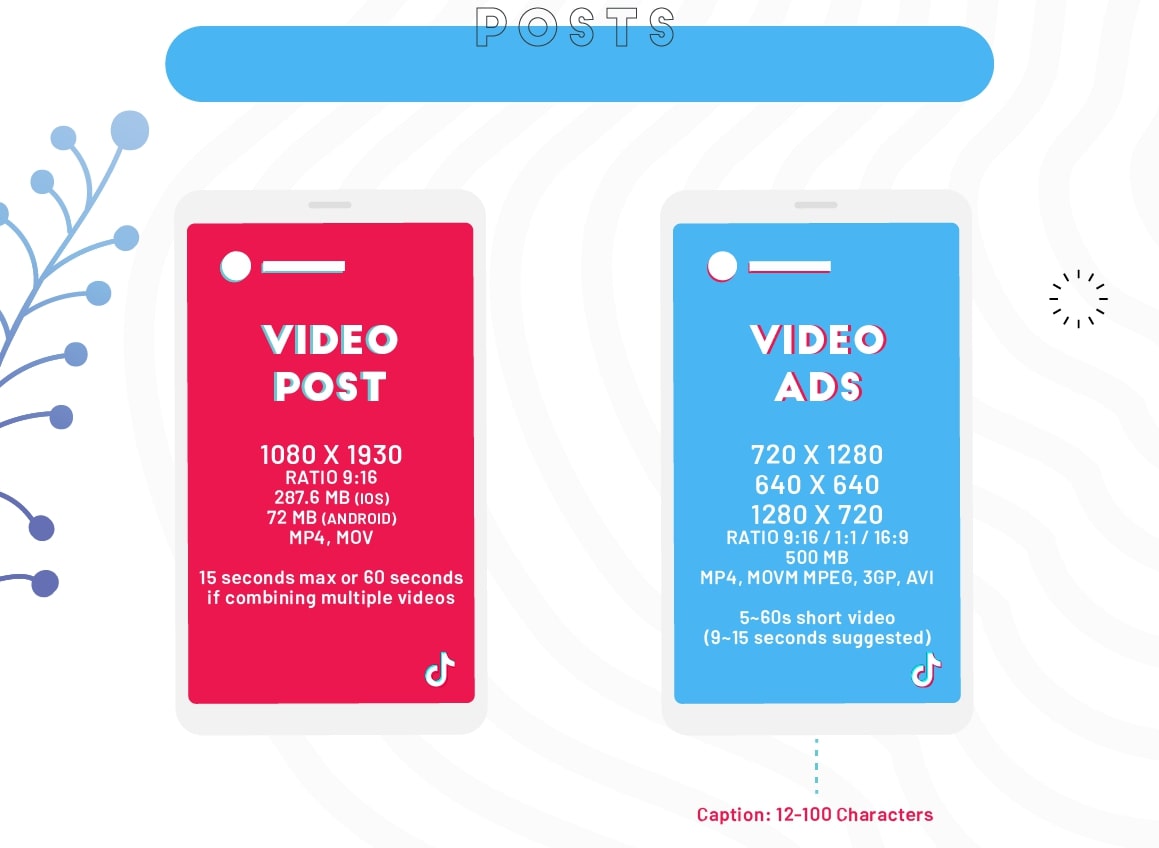 formats vidéos tiktok