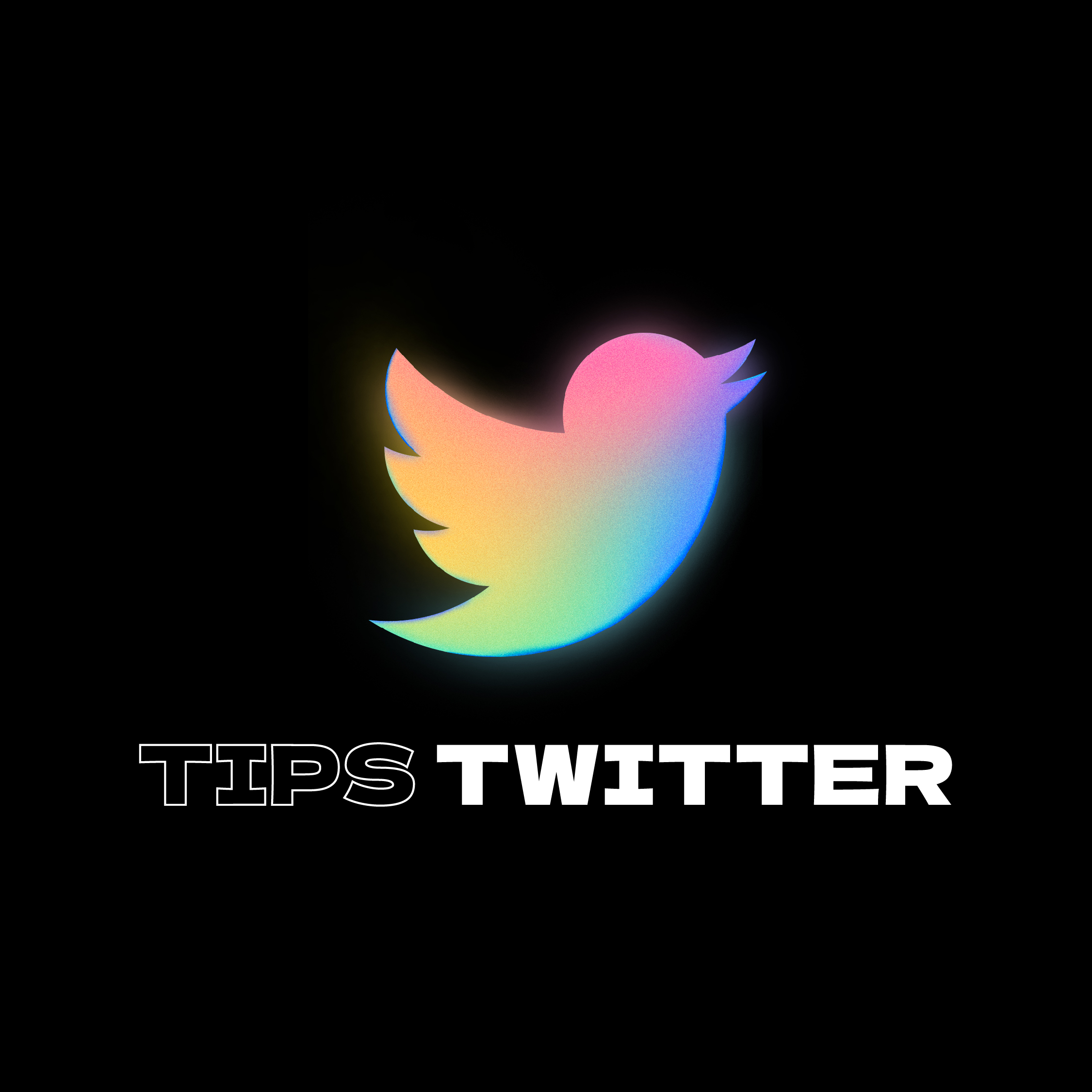 Le guide des formats vidéo Twitter 2022